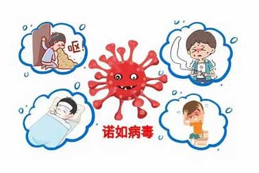 甲流諾如接伴而來(lái) 科學(xué)預(yù)防 無(wú)需恐慌